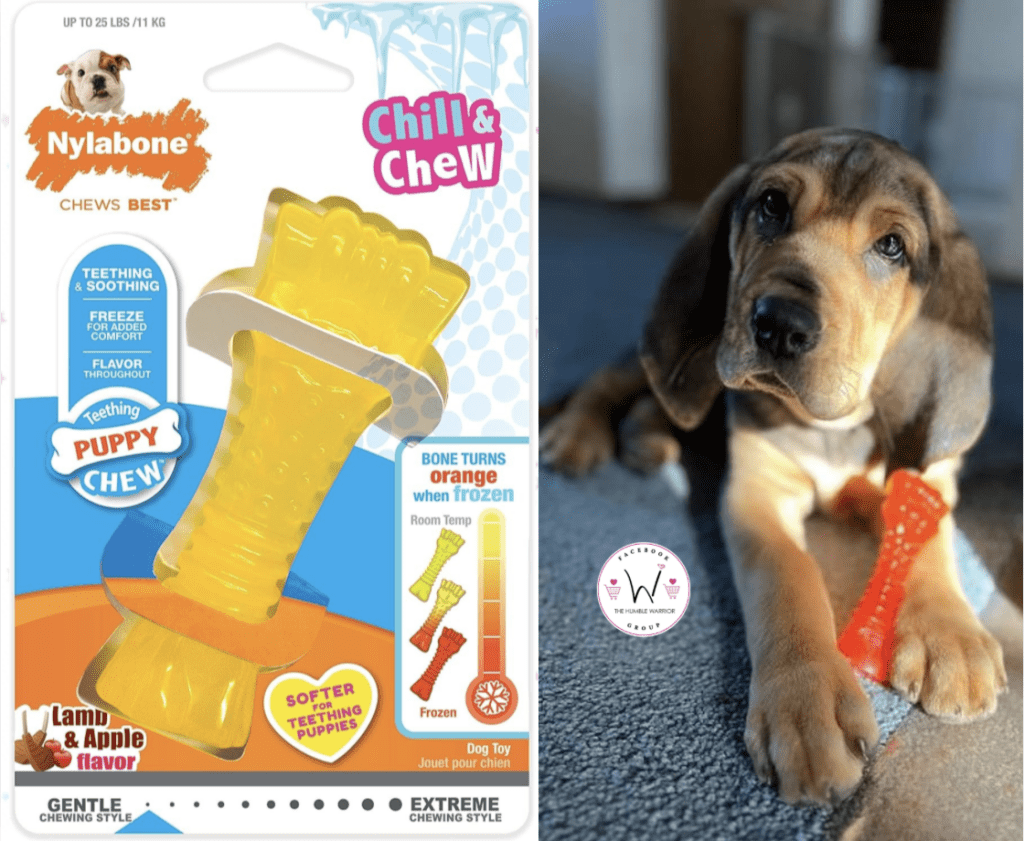 Nylabone Puppy Chill & Chew Dog Toy!